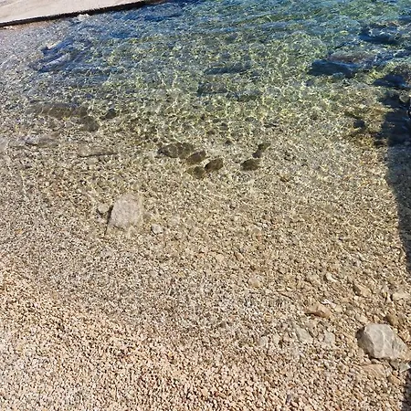 Mobile Homes Albatross Dom wakacyjny *